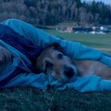 Politički nekorektna komedija o pravu na (pseći) život – „Pas na sudu” u domaćim bioskopima 6