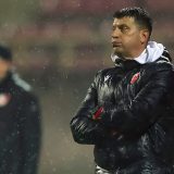 Vladan Milojević, FK Crvena zvezda