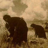 Izložba posvećena ženama heroinama otpora, stradanja i borbe u Drugom svetskom ratu u kragujevačkoj biblioteci 5