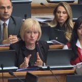 Snežana Rakić u Skupštini upitala: Kako je moguće da u Zaječarskom okrugu na 36 sela ima samo jedan ginekolog? 1