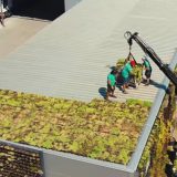 Kasetni zeleni krov - inovativno rešenje za gradsko jezgro protiv zagađenja i visokih temperatura (VIDEO) 2