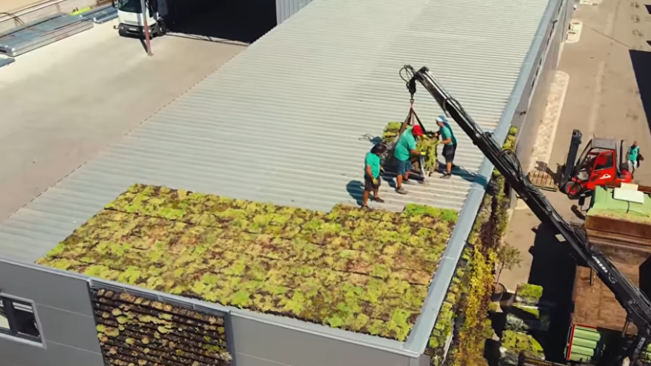 Kasetni zeleni krov - inovativno rešenje za gradsko jezgro protiv zagađenja i visokih temperatura (VIDEO) 1