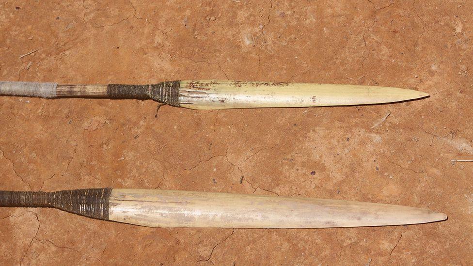 'Braća iz šume': Borba da se zaštiti izolovano amazonsko pleme 7 Maško Piro love u amazonskim prašumama koristeći koplja i strele