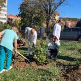 Kod Zavoda za plućne bolesti i tuberkulozu posađene biljke koje ne izazivaju alergije: Kako građani mogu da se uključe u ovakve akcije? 1