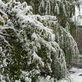 Meteorolog Sovilj: Prestanak padavina sutra popodne, istorijske visine snega u oktobru 5