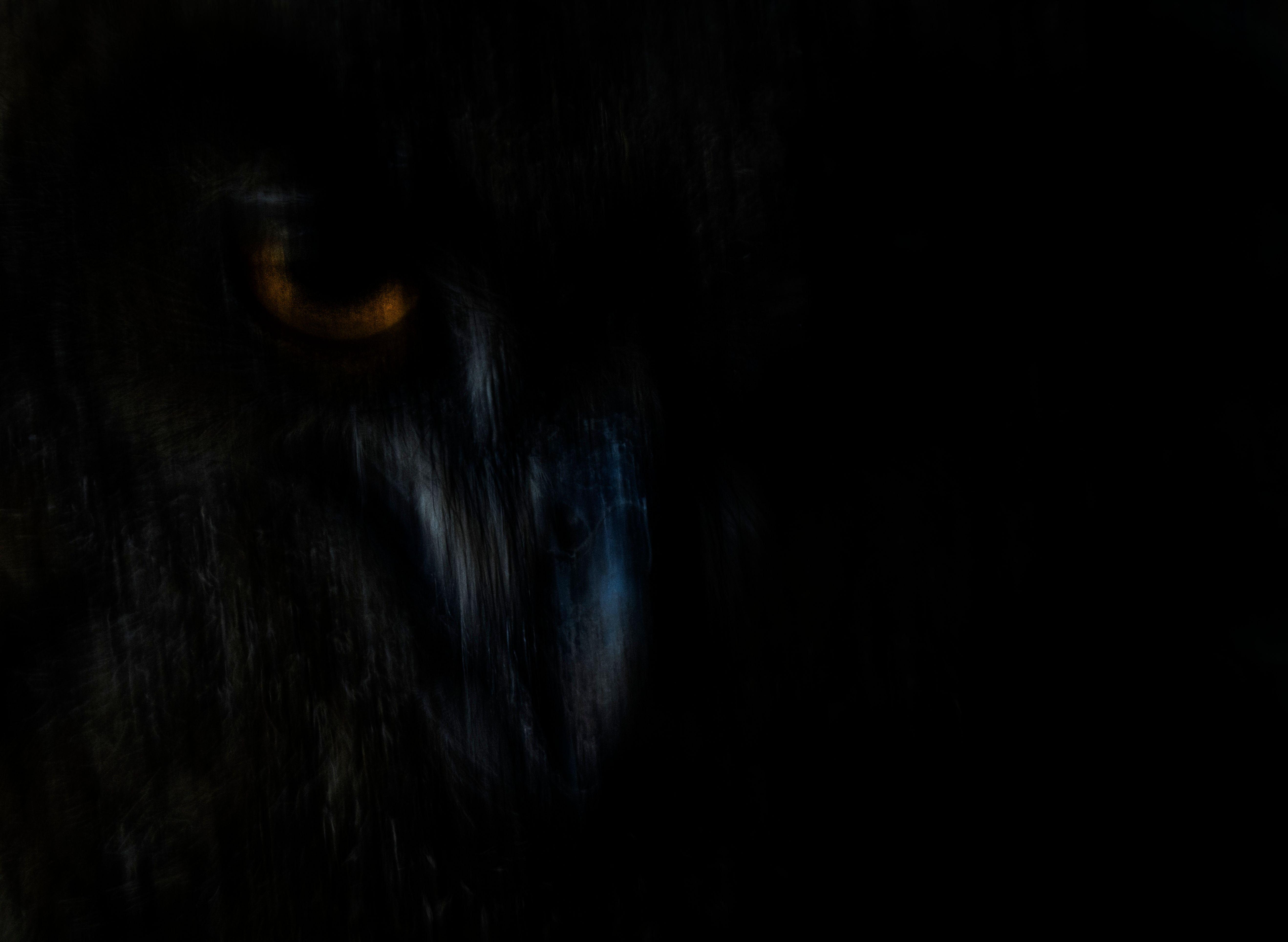 Čarolija prirode kroz objektiv: Najbolje fotografije sveta divljine 8 Ušara