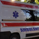 Tragedija kod Novog Sada: Poginuo dečak, sedmoro dece povređeno 8