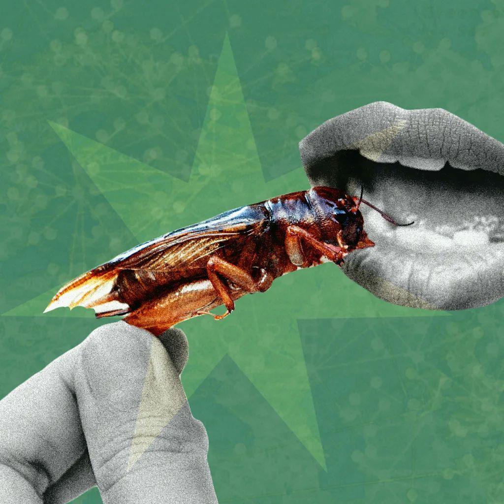 ilustracija ruka koja stavlja bubu u usta