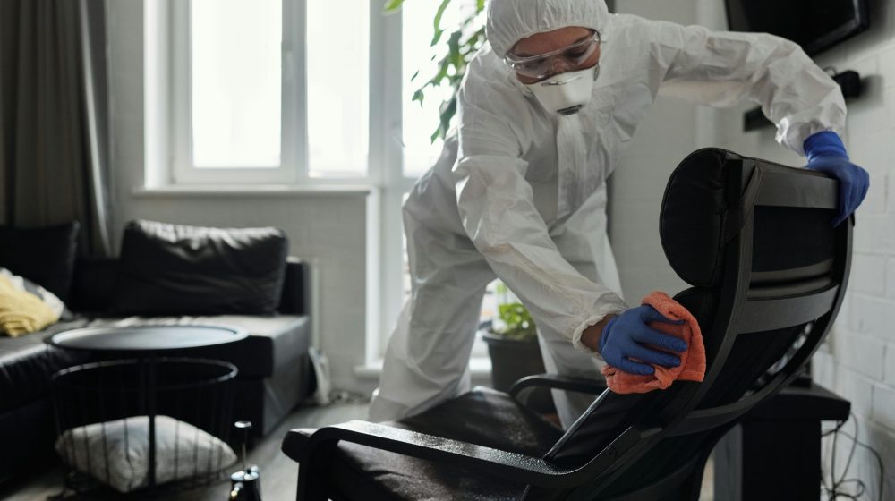 Zašto sve više Beograđana bira Skviki za dubinsko pranje? 1