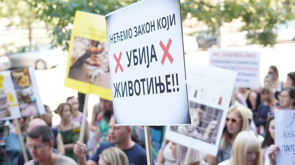 životinje, protest, Nacrt o Zakonu