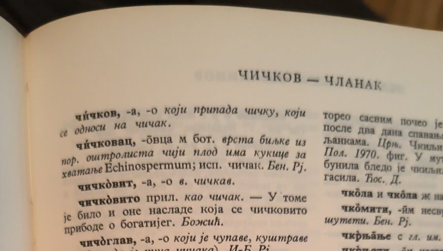 Plićak i čkalja (reči o nepostojećem - iz sentimentalnog ugla ) 2