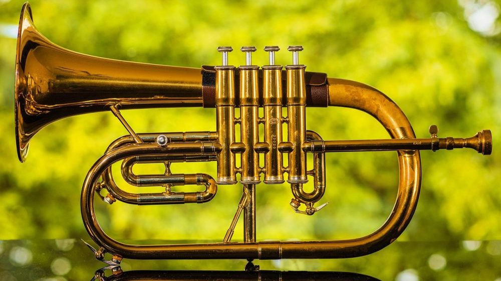 Novosadski džez festival: Dee Dee Bridgewater, Bill Evans, Bireli Lagrene quartet, Marialy Pacheco Trio i Aydin Esen Trio 1