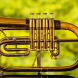 Novosadski džez festival: Dee Dee Bridgewater, Bill Evans, Bireli Lagrene quartet, Marialy Pacheco Trio i Aydin Esen Trio 3