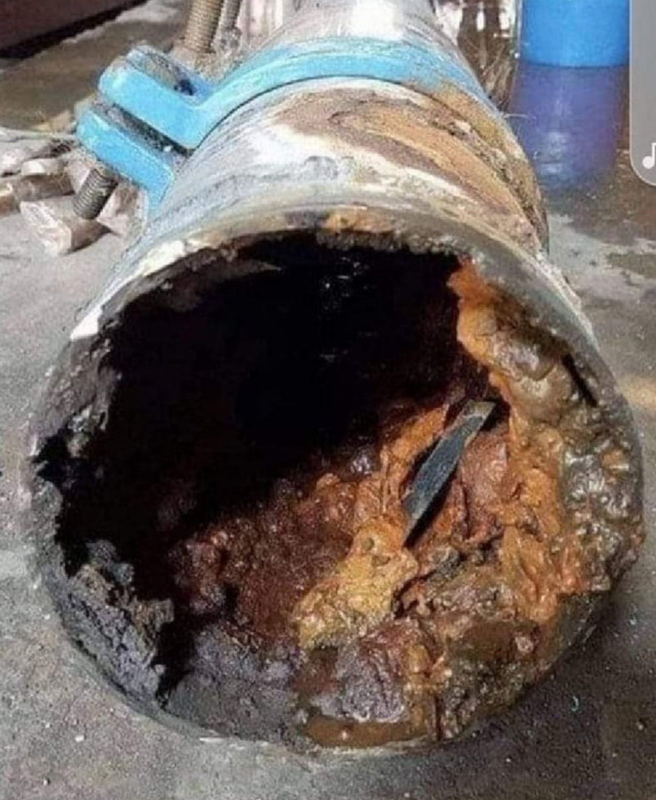 Srpska napredna stranka obeležava 17 godina postojanja: Imaju li naprednjaci razloga za slavlje? 4 cevi kroz koje teče "ispravna voda" u Zrenjanu, autor Sonja Pernat