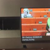 Vladimir Đorđević objasnio zašto je nosio žuti prsluk u Savetu Evrope 11