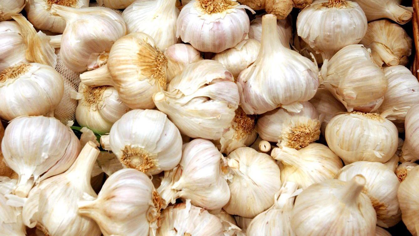 beli luk, češnjevi belog luka