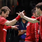 Zizu Bergs, Belgija, Dejvis kup