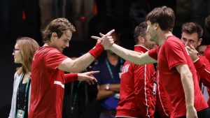 Zizu Bergs, Belgija, Dejvis kup