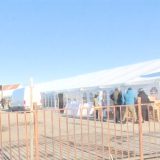 Na buvljaku u Negotinu niče Ćacilend: Očekuje se Vučić 14