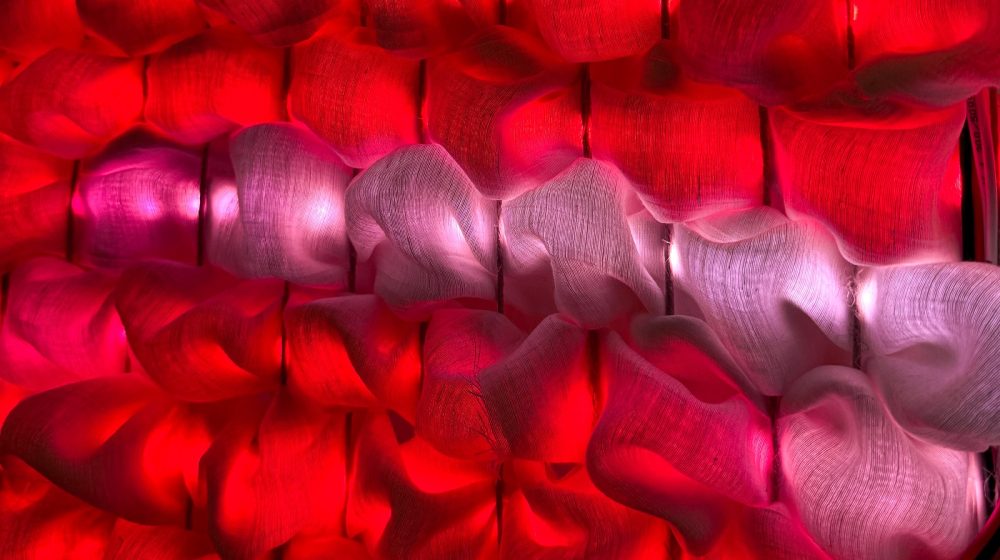 Art Meets Science 2025. Re:people u Palati nauke od 12. do 14. novembra 1