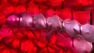 Art Meets Science 2025. Re:people u Palati nauke od 12. do 14. novembra 2