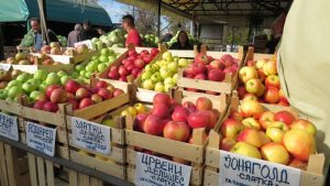 Radno vreme za Sretenje 6 Radno vreme za Sretenje 5