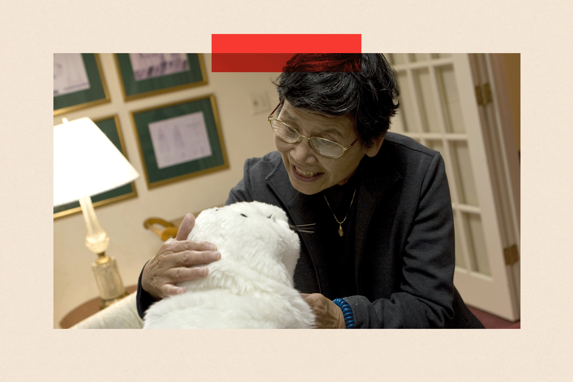 Paro izgleda kao mladunče foke i na maženje reaguje pokretima i zvukovima