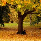 Kako protiv jesenje melanholije 3