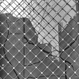 U Galeriji Haos izložba Branimira Karanovića: Crtež u svakom kadru i nove, asketski koncipirane fotografije 12