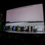 kako je ovde tako zeleno faf