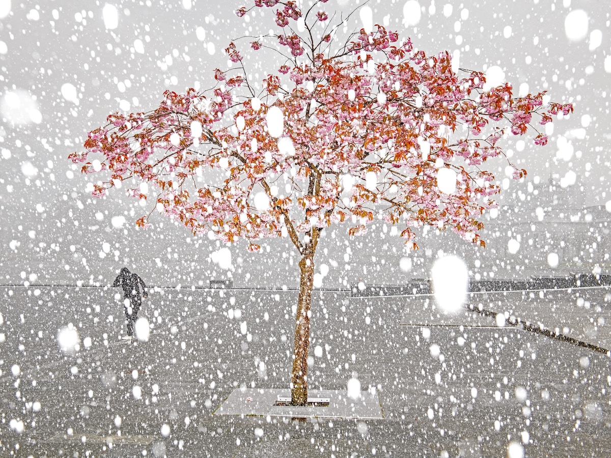 Kako izgleda najkišovitiji grad u Evropi tokom jedinih 30 dana sunca? Proslavljeni norveški fotograf Helge Skodvin dolazi u Beograd 1