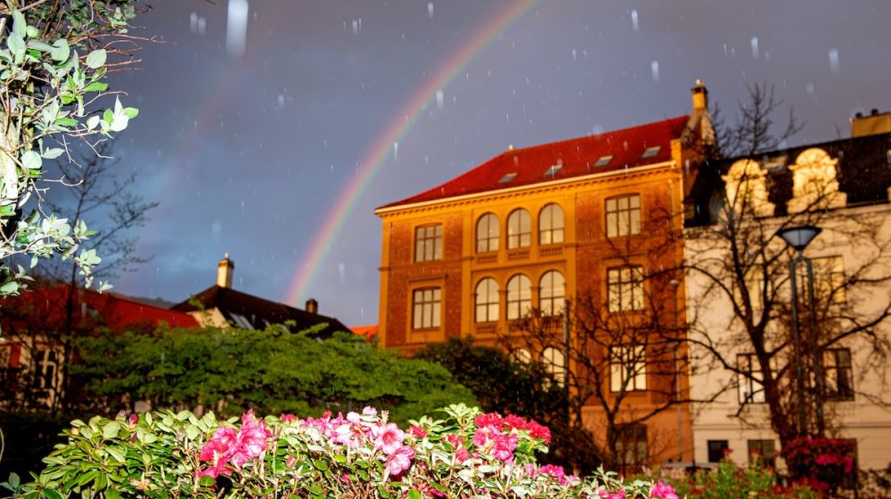 helge skodvin vizualizator