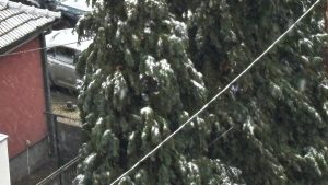 U Beogradu prvi sneg, kakva je prognoza za danas?(FOTO) 1