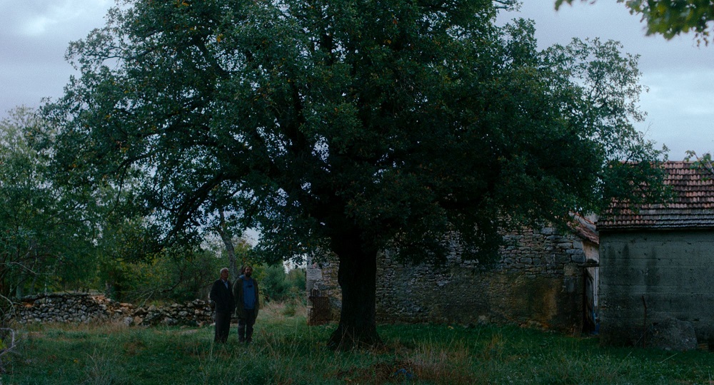 31. Festival autorskog filma - premijere domaćih filmova 1