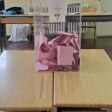 Studenti i opozicija: S obzirom na izborne uslove, zadovoljni rezultatima 6