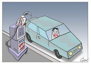 Corax za 20. novembar 2025. 1