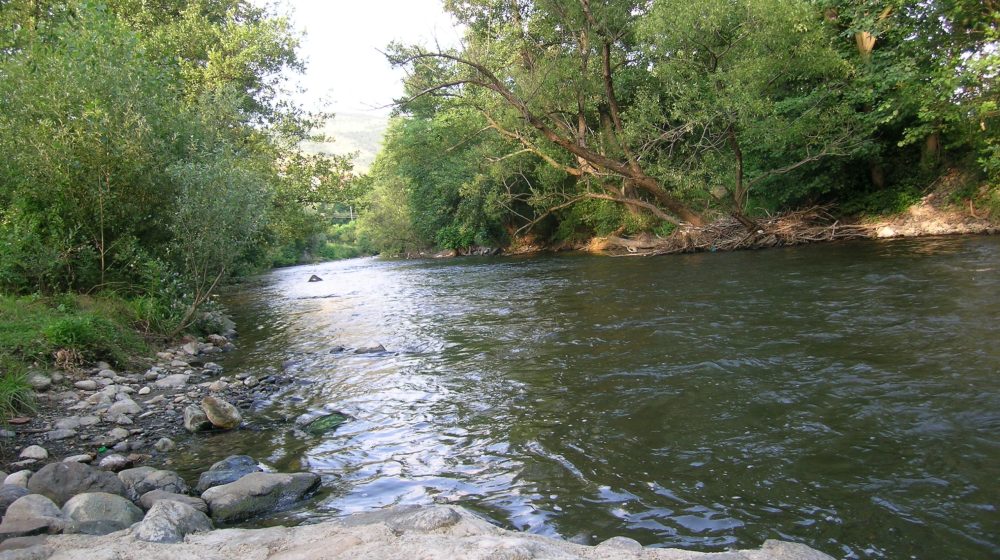 U reci Studenica naučnici otkrili novu strogo zaštićenu vrstu ribe 7