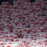 Zvezda-Olimpijakos navijači