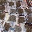 Kragujevčanin uhapšen sa 2,2 kilograma marihuane upakovane u vakuumirane kesice 10