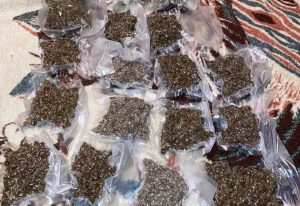 Kragujevčanin uhapšen sa 2,2 kilograma marihuane upakovane u vakuumirane kesice 5