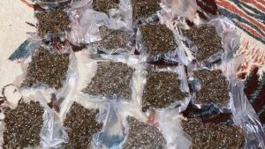 "Očigledno je došlo do konflikta unutar organizovane kriminalne grupe zvane SNS": Da li je Konjuh nova Jovanjica? 6