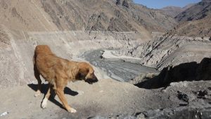 Nezapamćene suše u Iranu, grupna molitva za prizivanje kiše 1