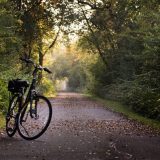 Vozio bicikl u Staroj Pazovi sa skoro tri promila alkohola u krvi 1