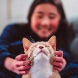 Mačke su postale naši prijatelji mnogo kasnije nego što mislimo 4