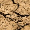 FAO upozorava na alarmantno stanje: Zbog degradacije zemljišta 1,7 milijardi ljudi ugroženo 10