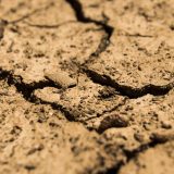 FAO upozorava na alarmantno stanje: Zbog degradacije zemljišta 1,7 milijardi ljudi ugroženo 6