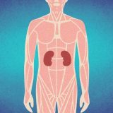 Rak bubrega: Bolest bez simptoma koja brzo napreduje 5