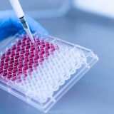 Nišlije danas daju matične ćelije za troje obolelih sugrađana 7