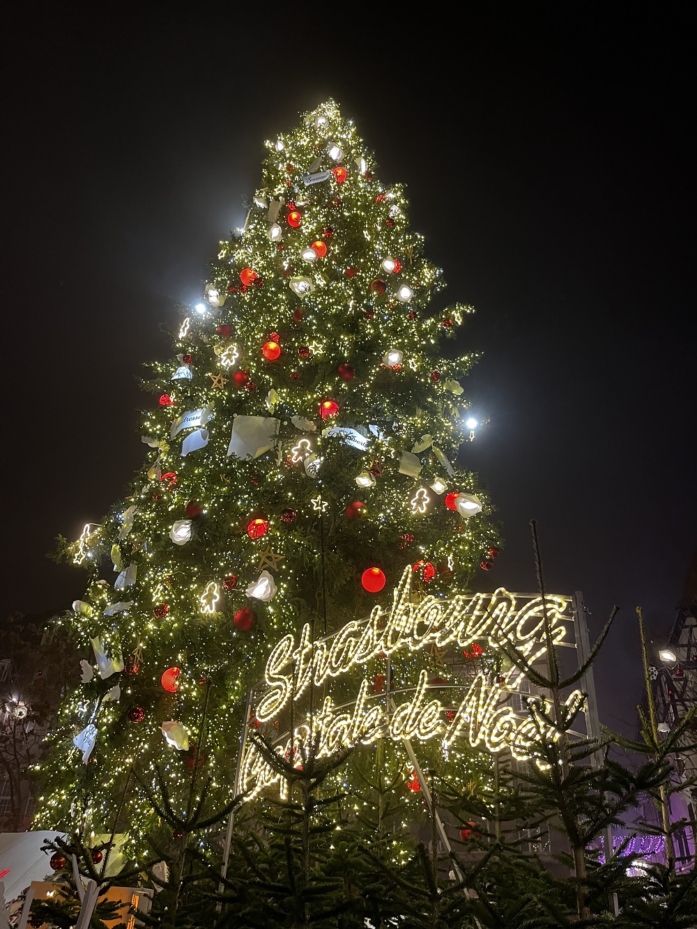 Bili smo na najlepšem božićnom marketu u Evropi: Najveća magija Strazbura je zapravo njegova jednostavnost 1