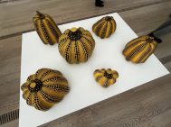 U svetu koji se neprestano menja, tačkice ponavljanja japanske umetnice su nit koja smiruje: Danas na izložbi Jajoi Kusame u Bazelu 4